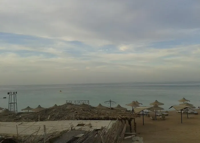 شقق الدهار