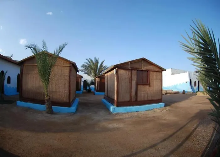 Dolphin Camp