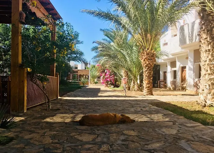 Jowhara Hotel